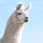 Menyongsong Era Baru Pelayanan Imigrasi di Bengkulu Selatan