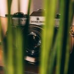 Overstay di Bengkulu Selatan: Mengapa Penting untuk Mematuhi Aturan?