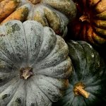 Langkah-Langkah Menghindari Overstay di Bengkulu Selatan