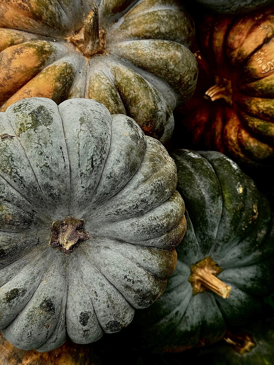 Langkah-Langkah Menghindari Overstay di Bengkulu Selatan