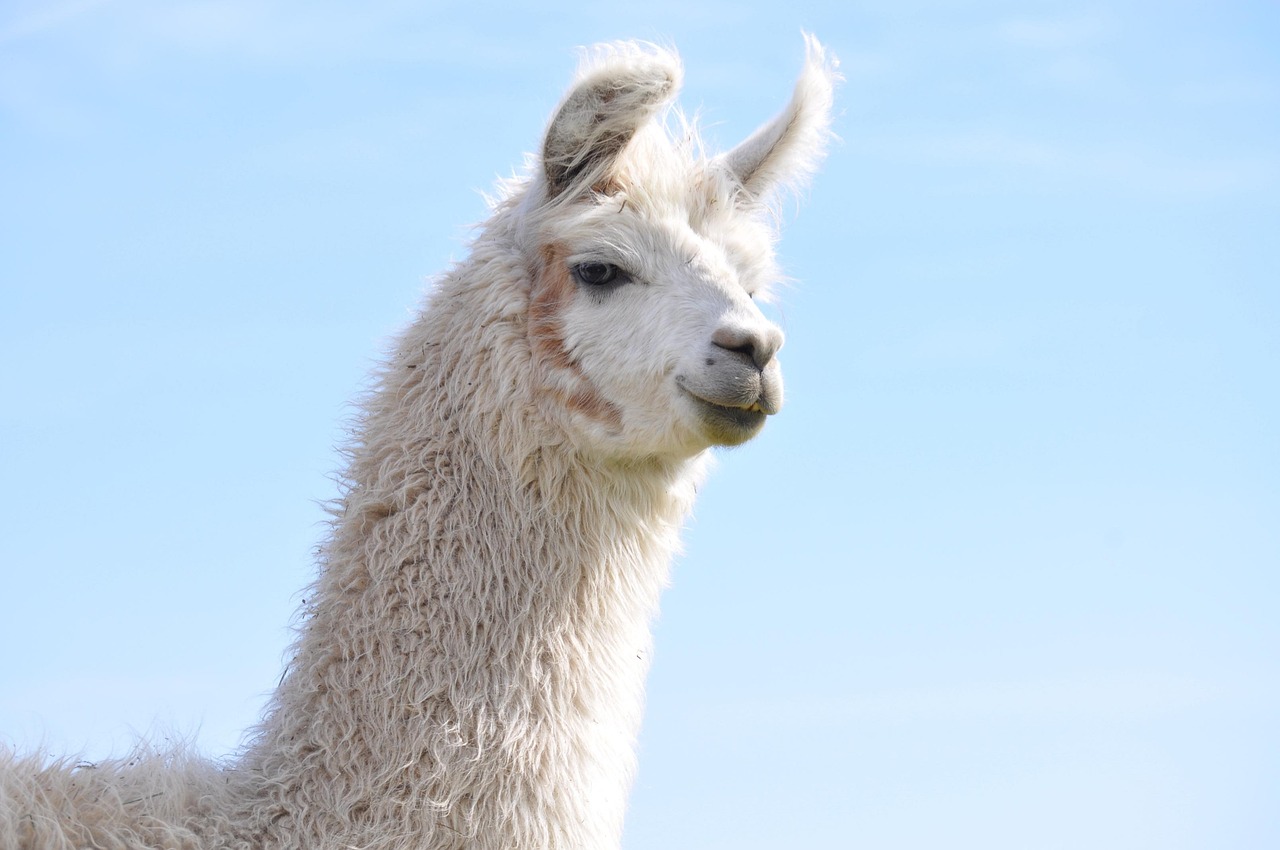 Risiko dan Sanksi Overstay di Bengkulu Selatan